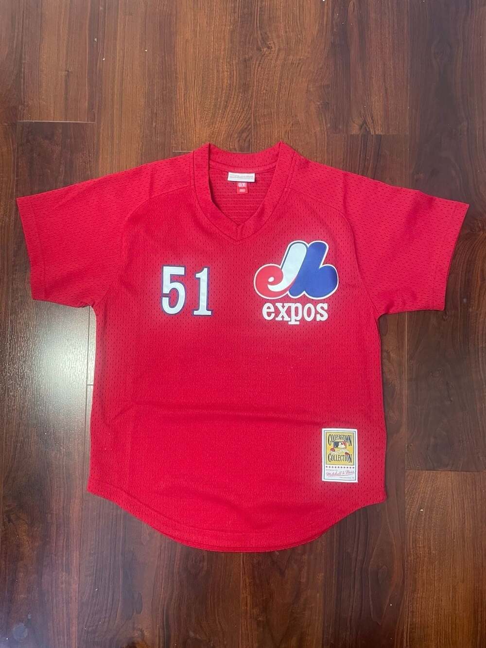 Mitchell & Ness Montreal Expos 1989 Randy Johnson Authentic Mesh Batting Jersey